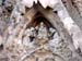025sagrada