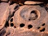 018rocks