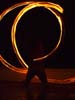 029bunnySpins