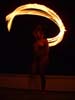 031bunnySpins