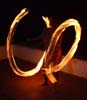 033bunnySpins