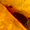 dynamic cone