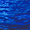 blue star